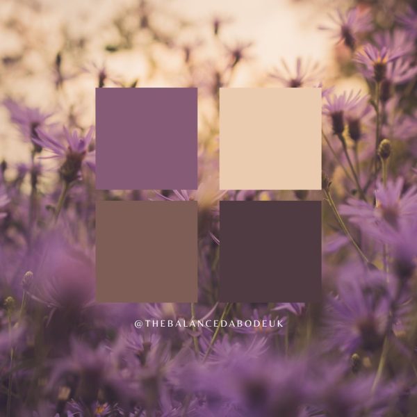 Instagram post colour palette 1 - purple